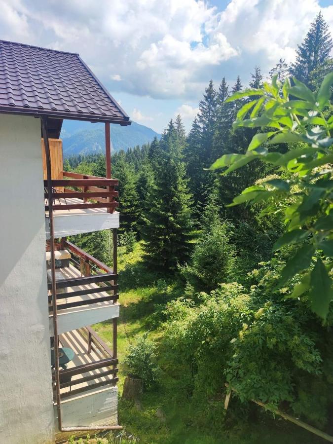 Green Studio Предял Екстер'єр фото
